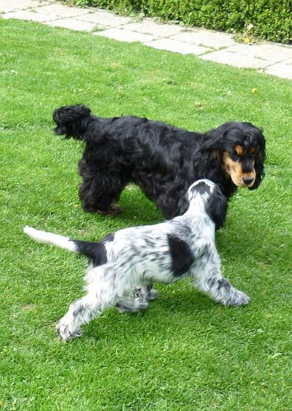 Karel-Argo 8.5.2010 c.JPG